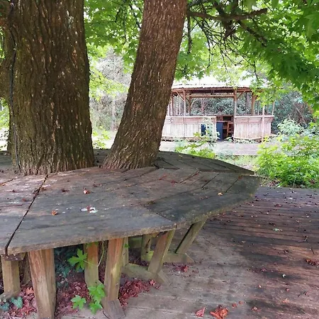 Holiday home 4 Bedroom Beautiful In Merignac (Gironde)